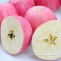 Bulk fruits fresh apples yellow apple fruit red fuji